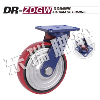 DR-ZDGW Automatic Homing